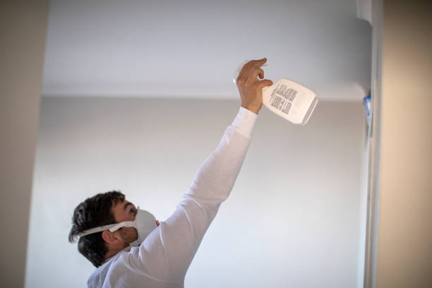 Mold Testing and Removal in Aberdeen, ID