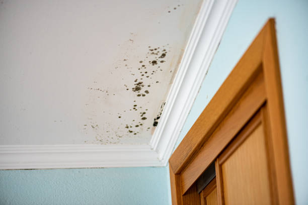 Water Damage Restoration in Aberdeen, ID