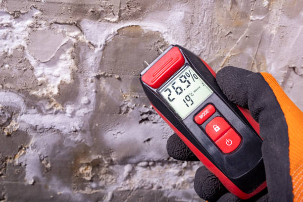 Best Emergency Mold Removal  in Aberdeen, ID