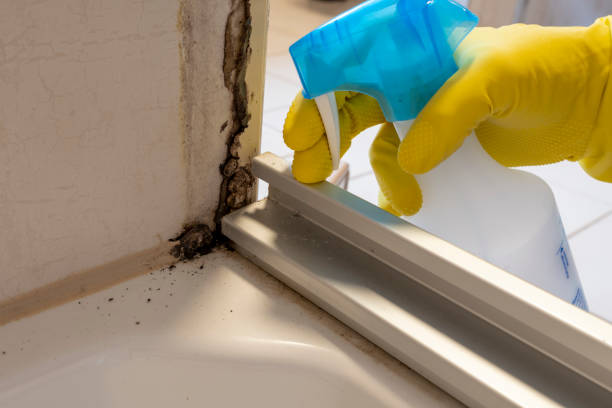Best Crawl Space Mold Removal  in Aberdeen, ID
