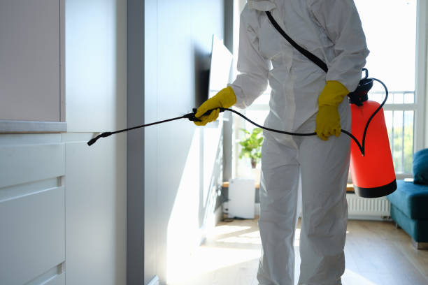 Best Emergency Mold Removal  in Aberdeen, ID