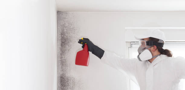 Best Professional Mold Removal  in Aberdeen, ID