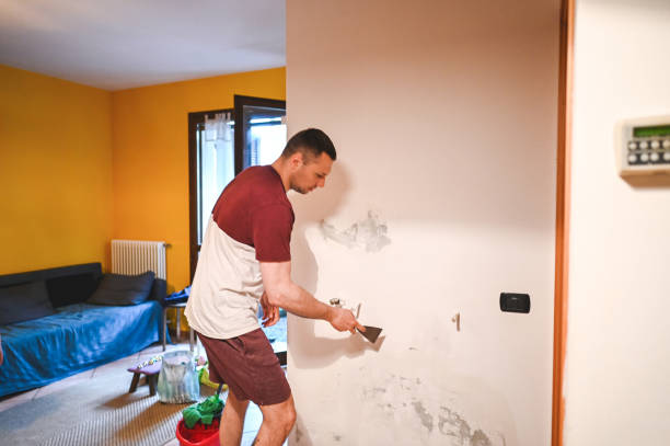 Best Fast Mold Removal  in Aberdeen, ID