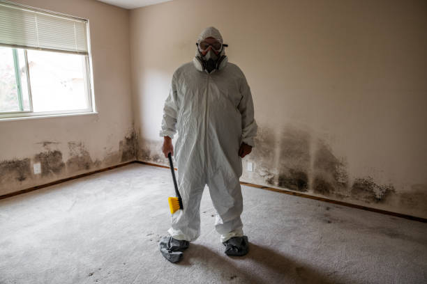 Best Certified Mold Removal  in Aberdeen, ID
